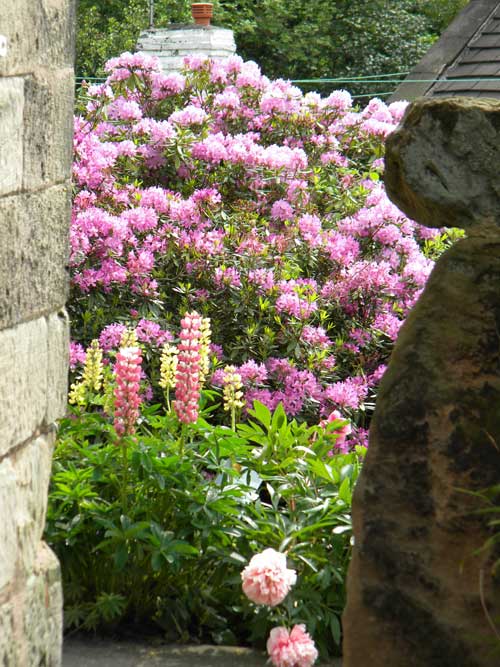 Bed and Breakfast near Alton Towers, The Malthouse Guest House B&B