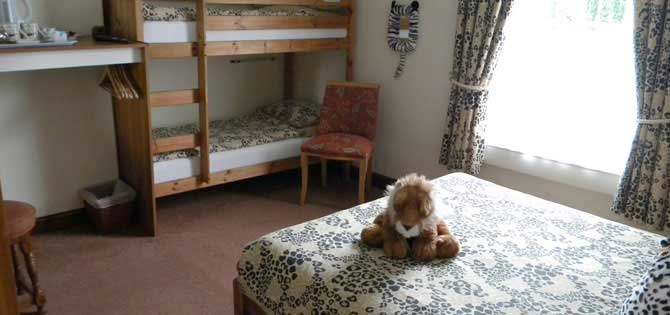 The Malthouse B&B - African Room