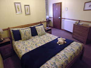 Wheelchair accessible room in ground-floor annexe. Wheelchair accessible room